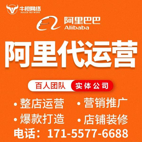 铜川电商代运营