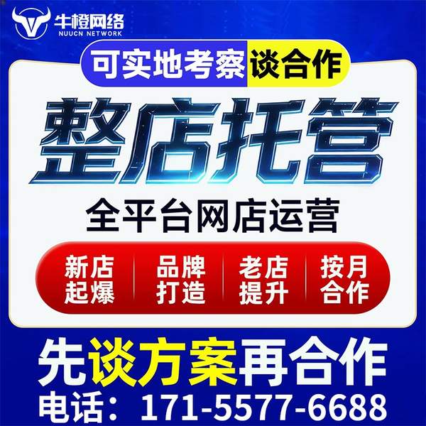铜川电商代运营