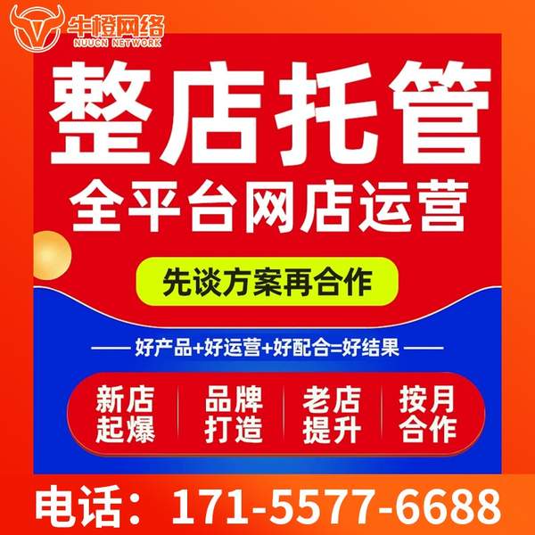 铜川电商代运营