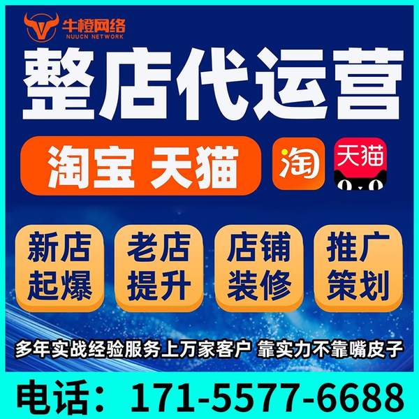 铜川电商代运营