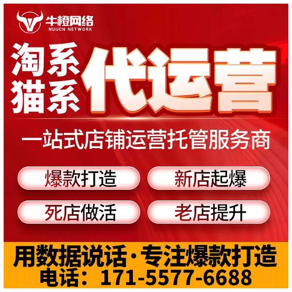 铜川电商代运营